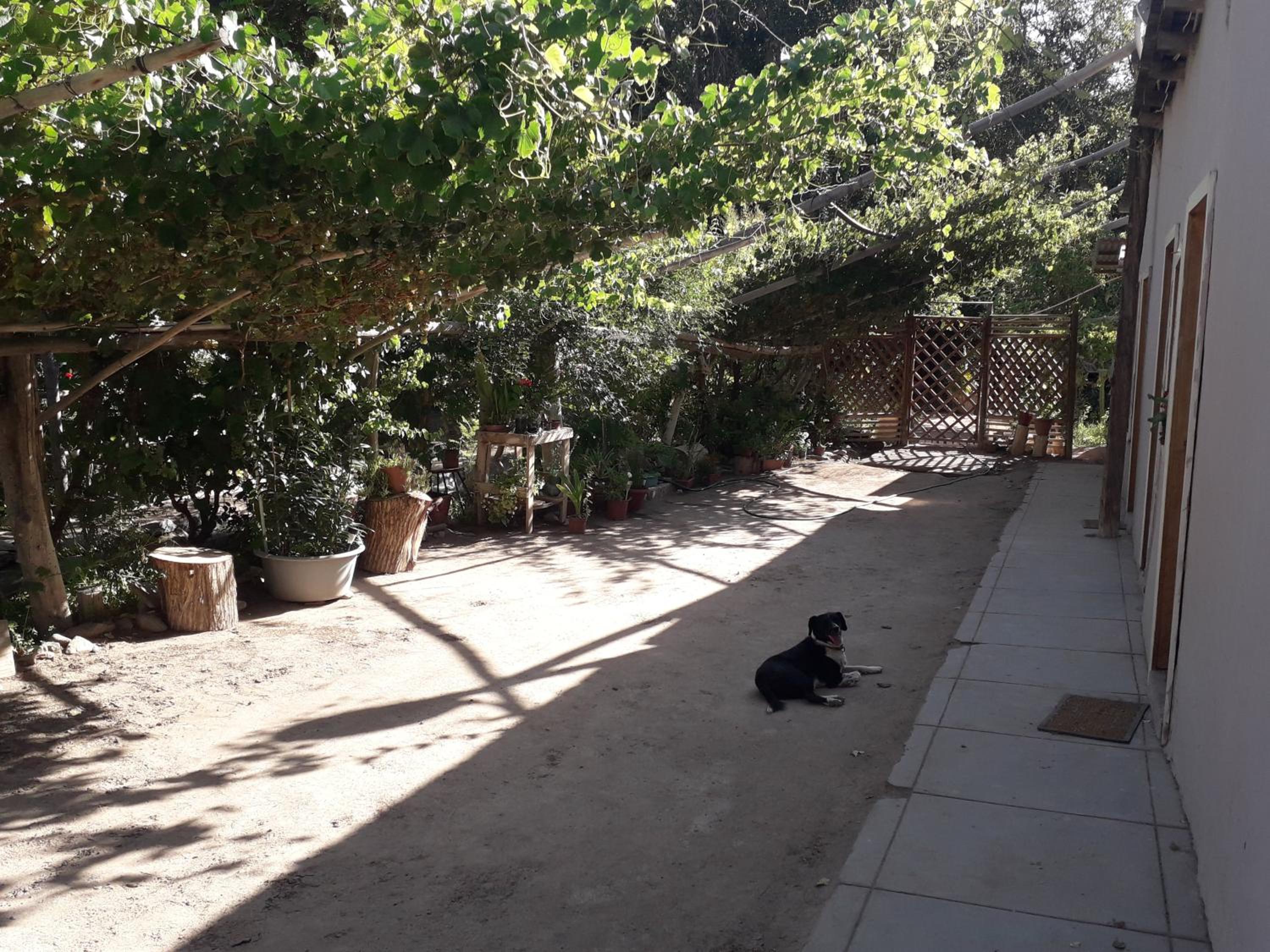 Casa Rivera