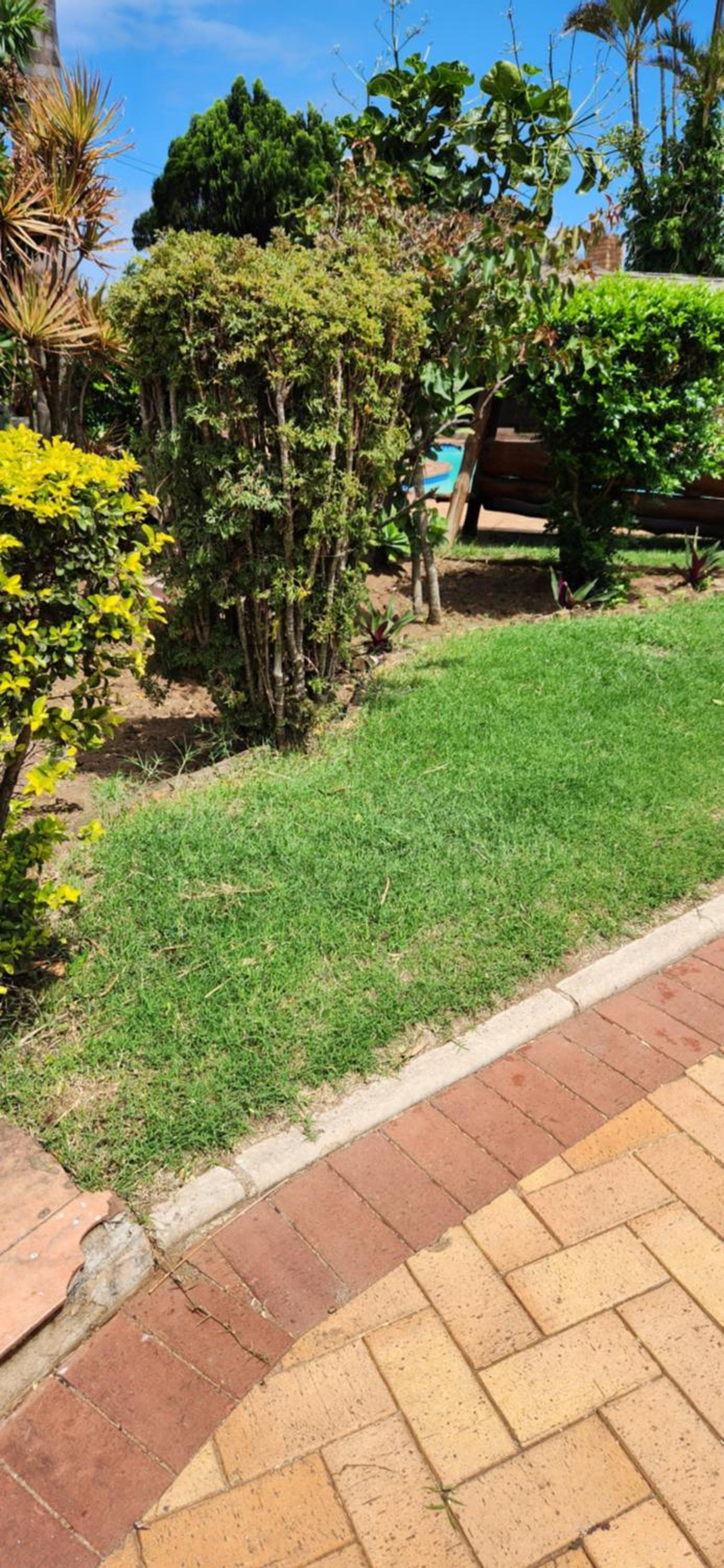 Photo 46