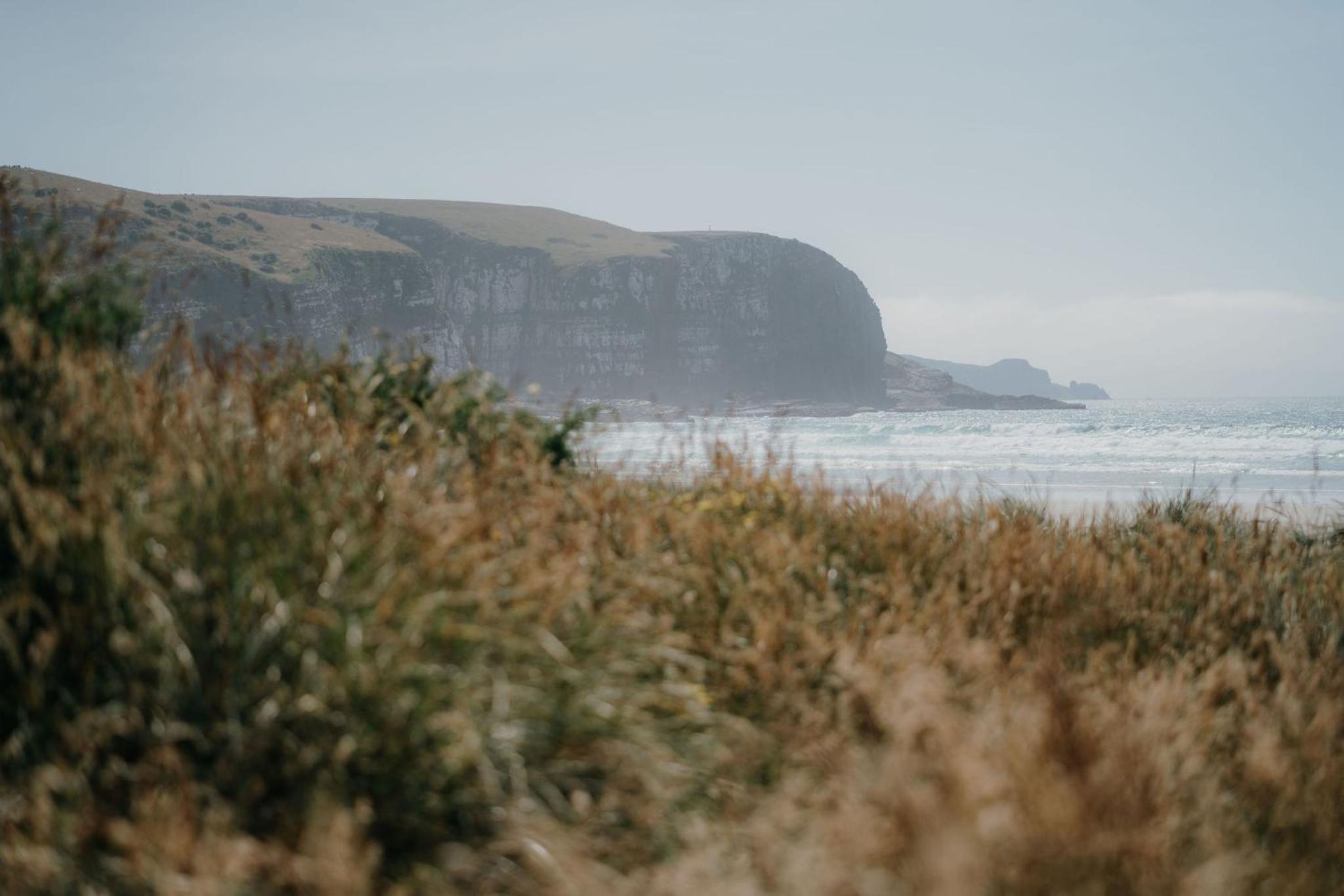 Beach Front Oasis - Catlins, Jacks Bay