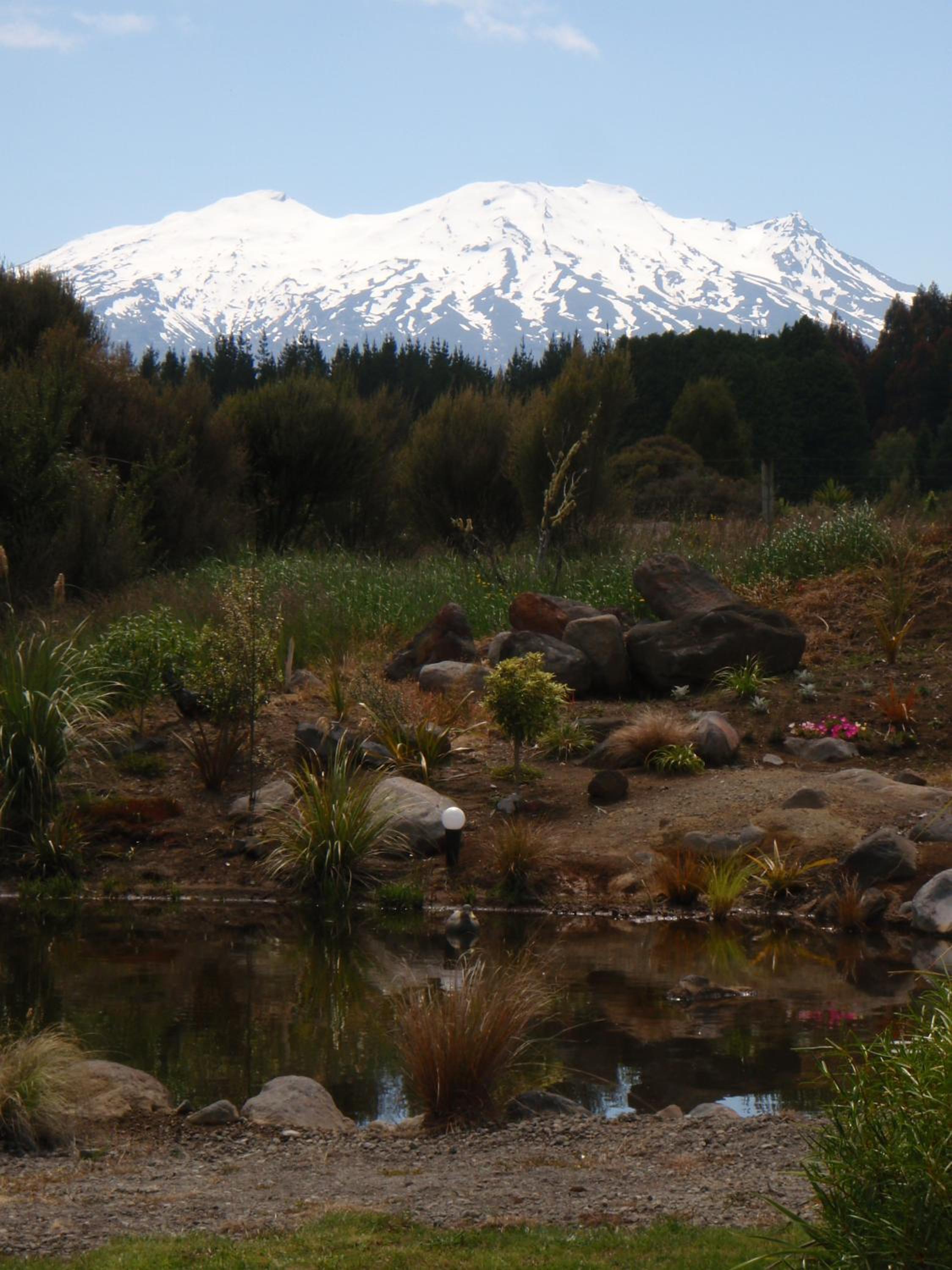 Tongariro Suites