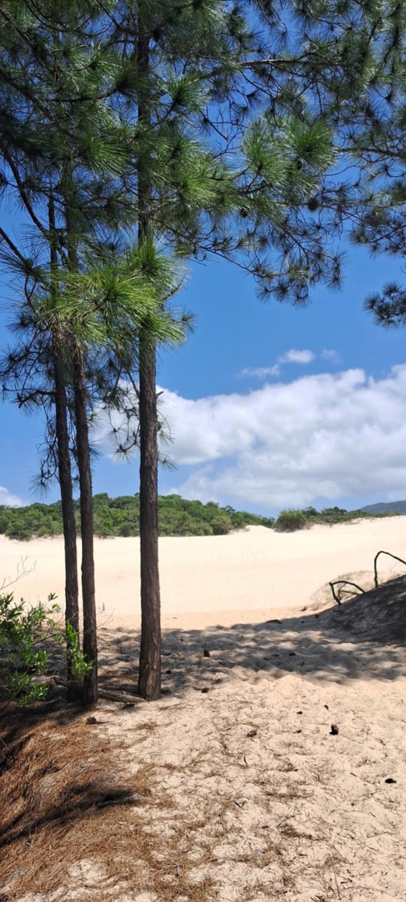 Toca da Suzara Suíte 3 até 3 pessoas Piscina Rio e Mar num só lugar