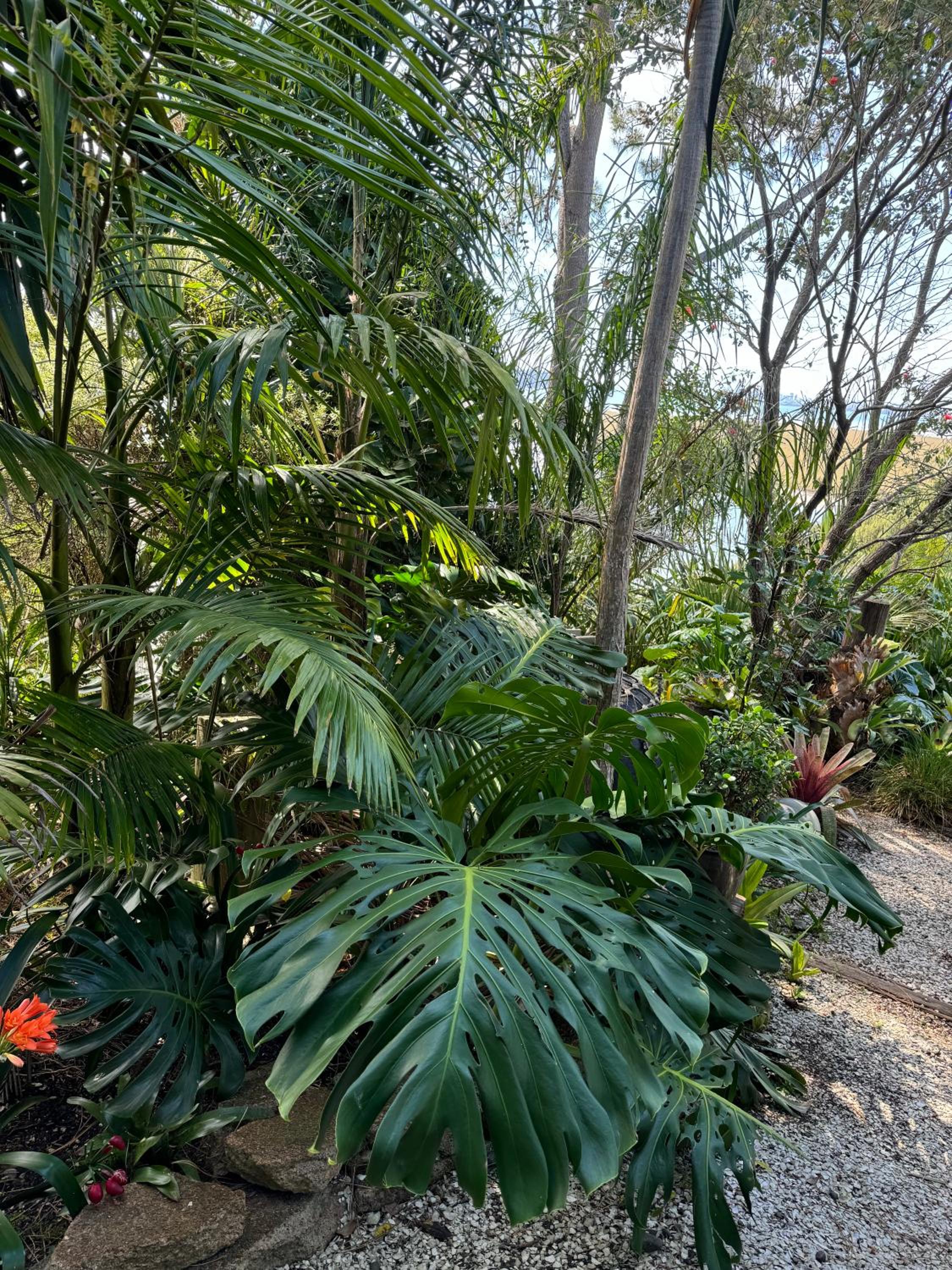 Photo 43
