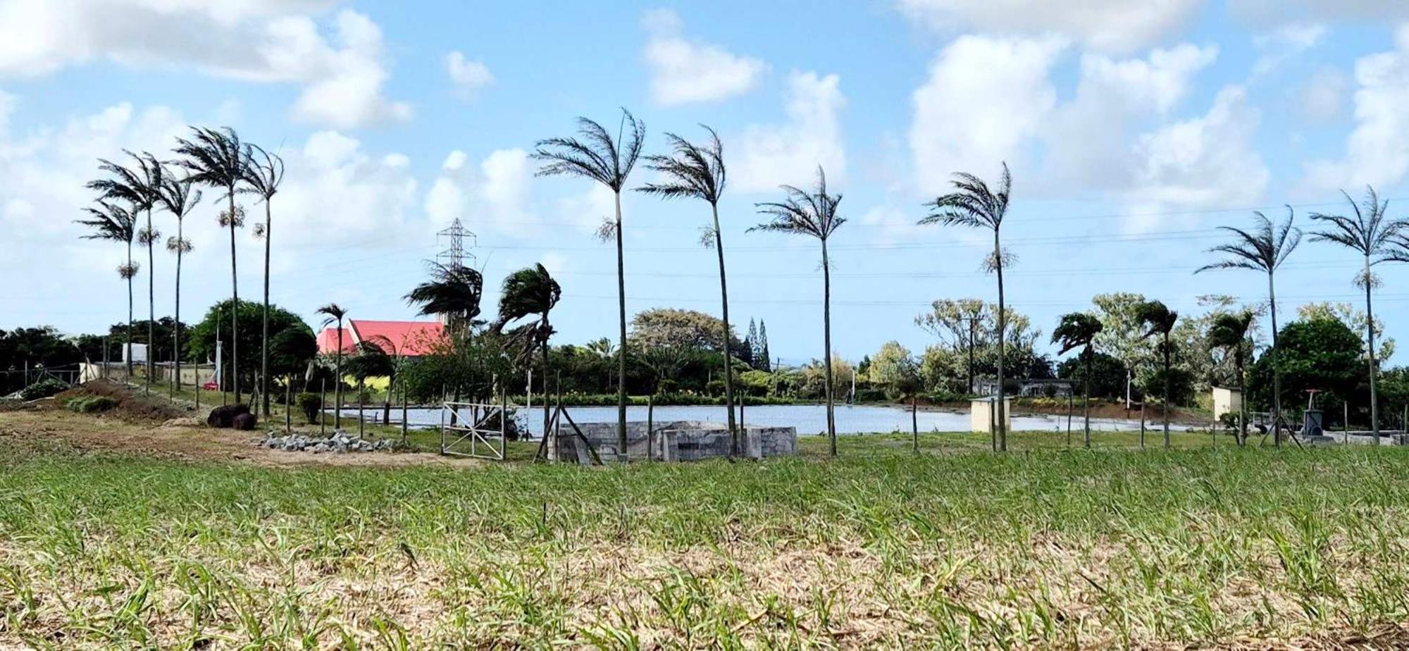 Hill Venue