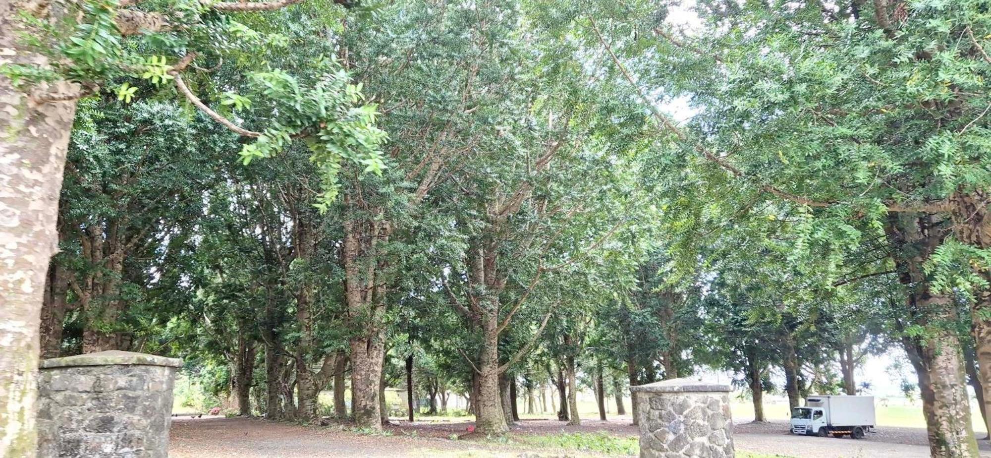 Hill Venue