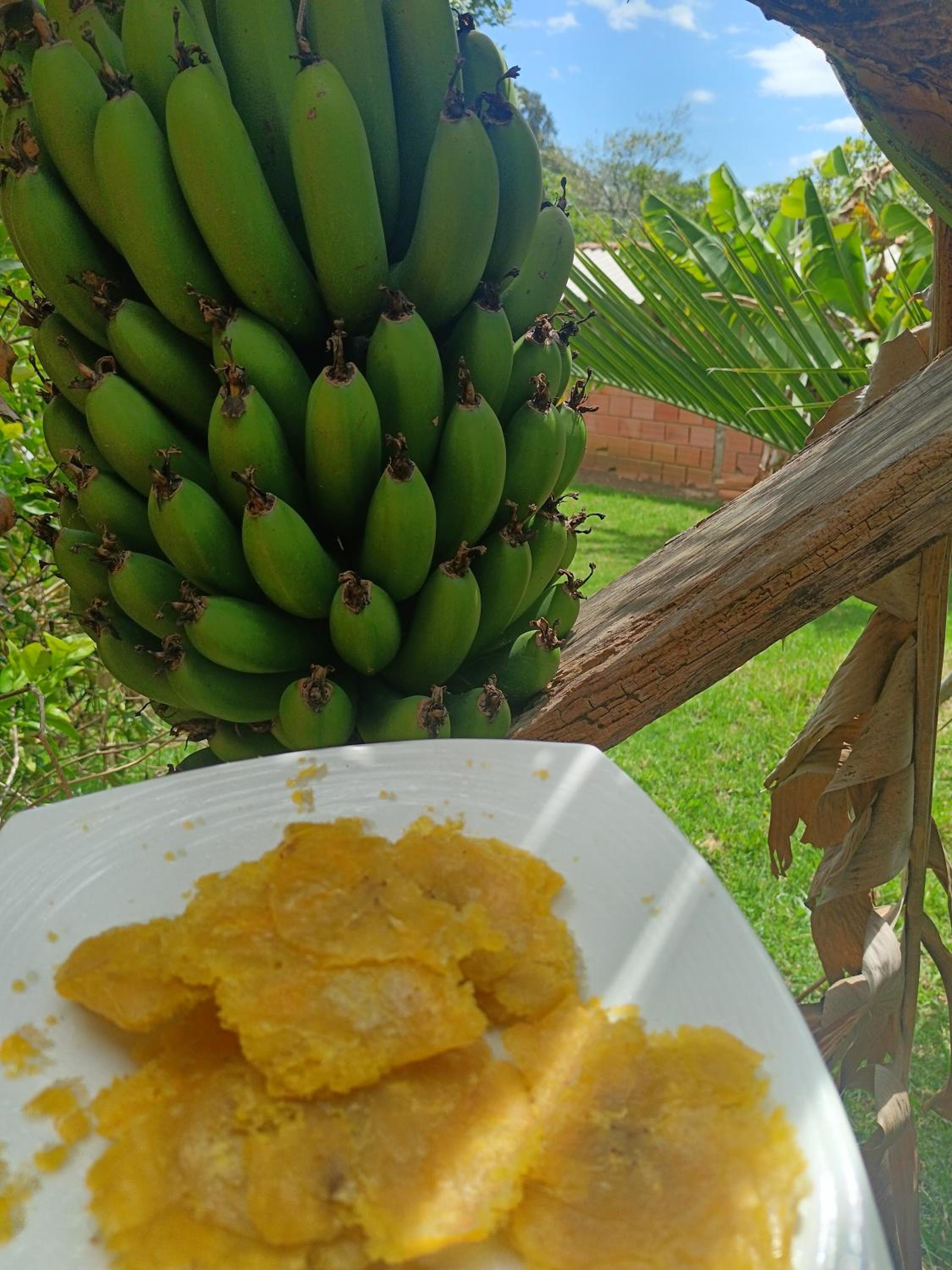Escondite de la sabana Campestre
