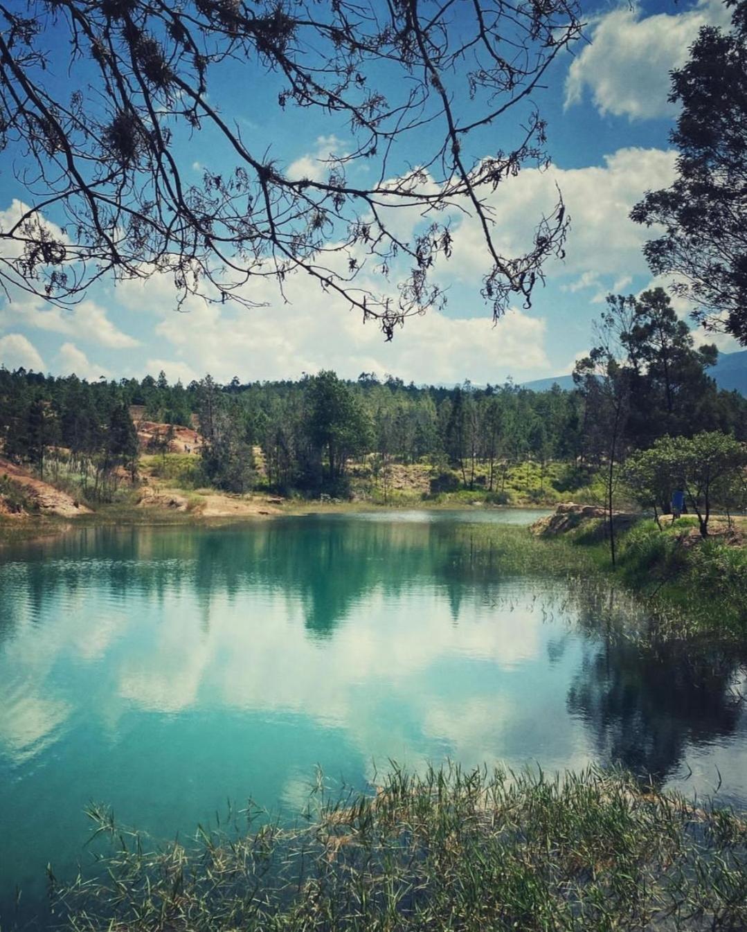 Escondite de la sabana Campestre