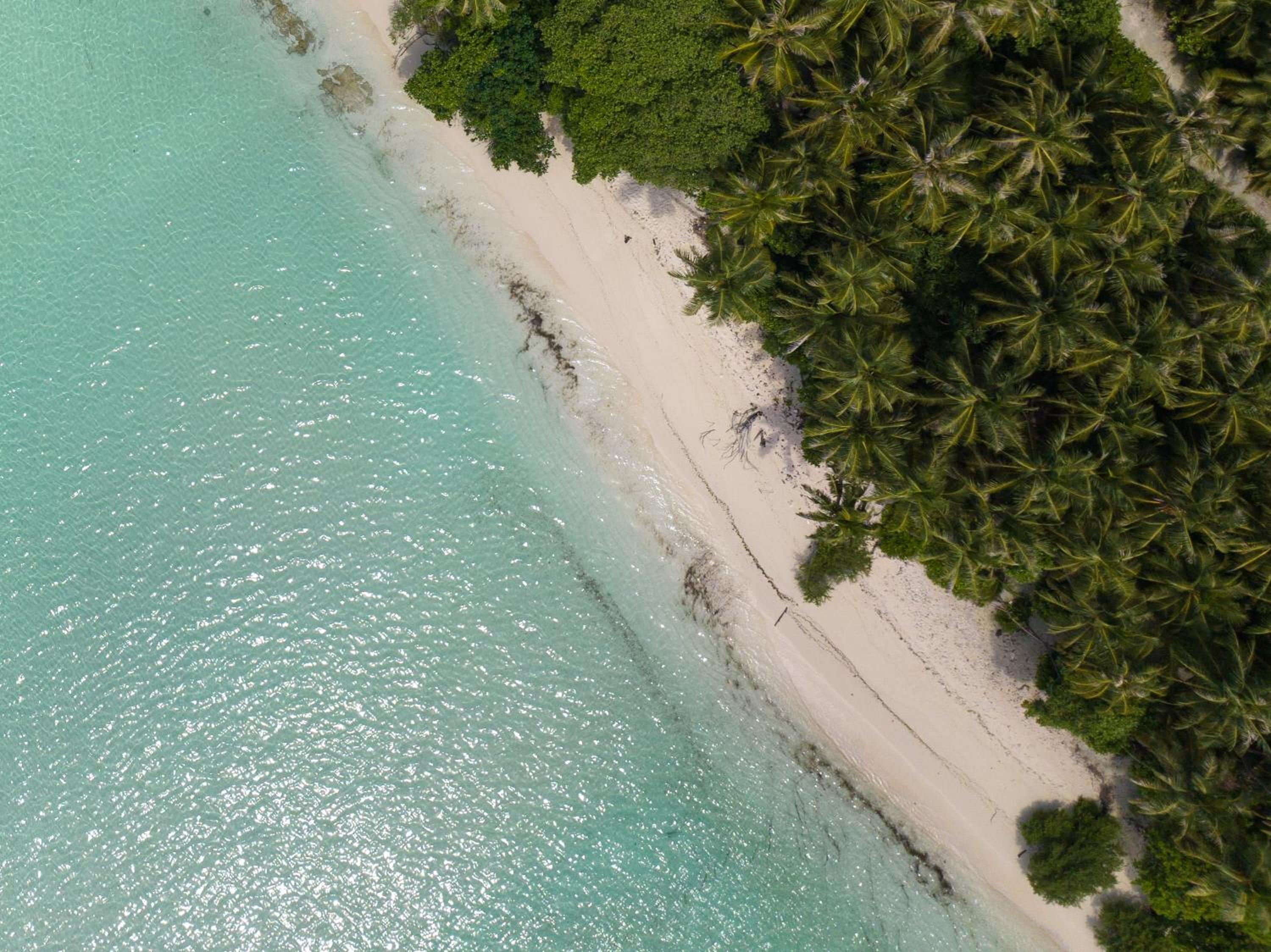 Cove Fehendhoo