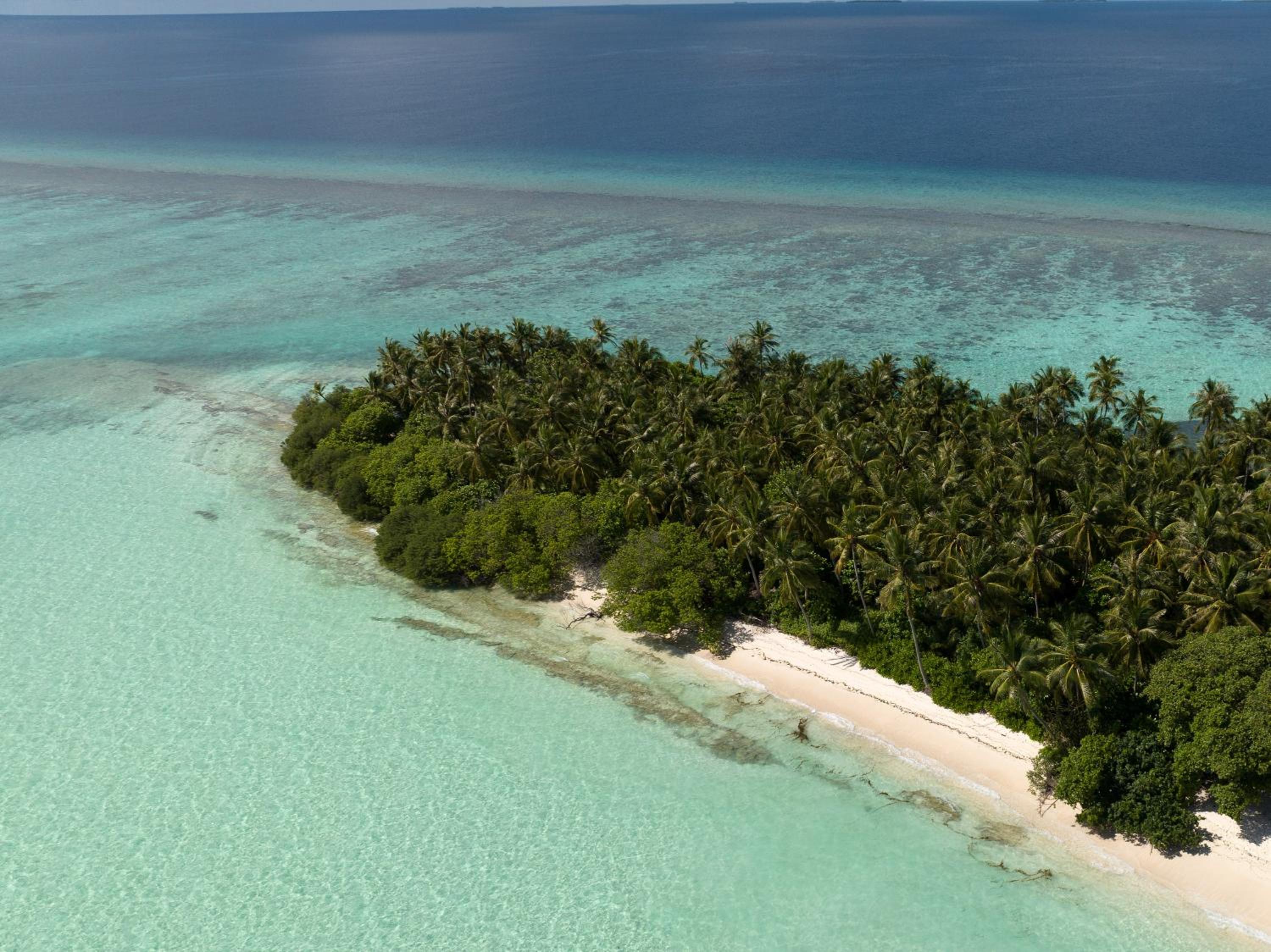 Cove Fehendhoo