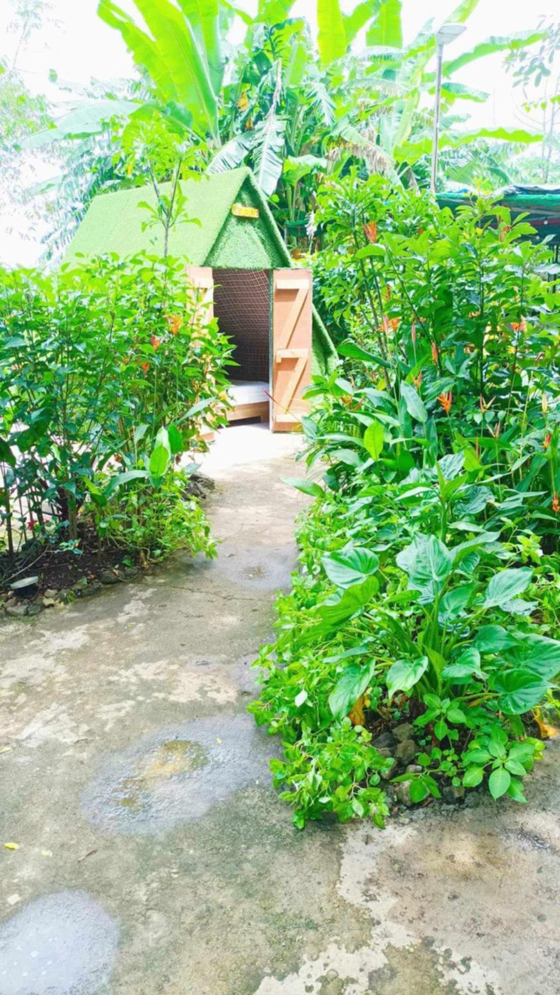 Camping D'Tente Paradise view 2