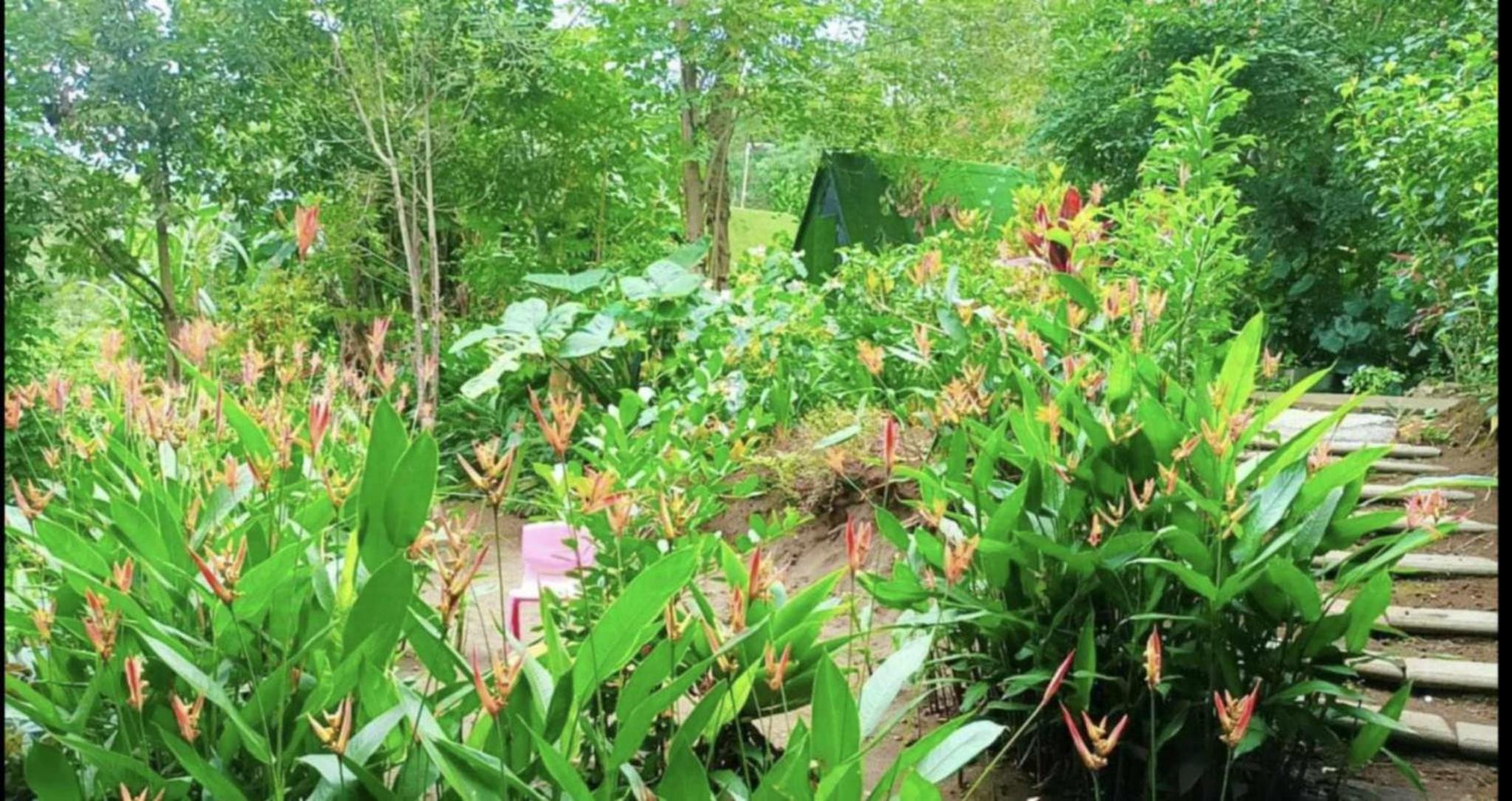 Camping D'Tente Paradise view 5