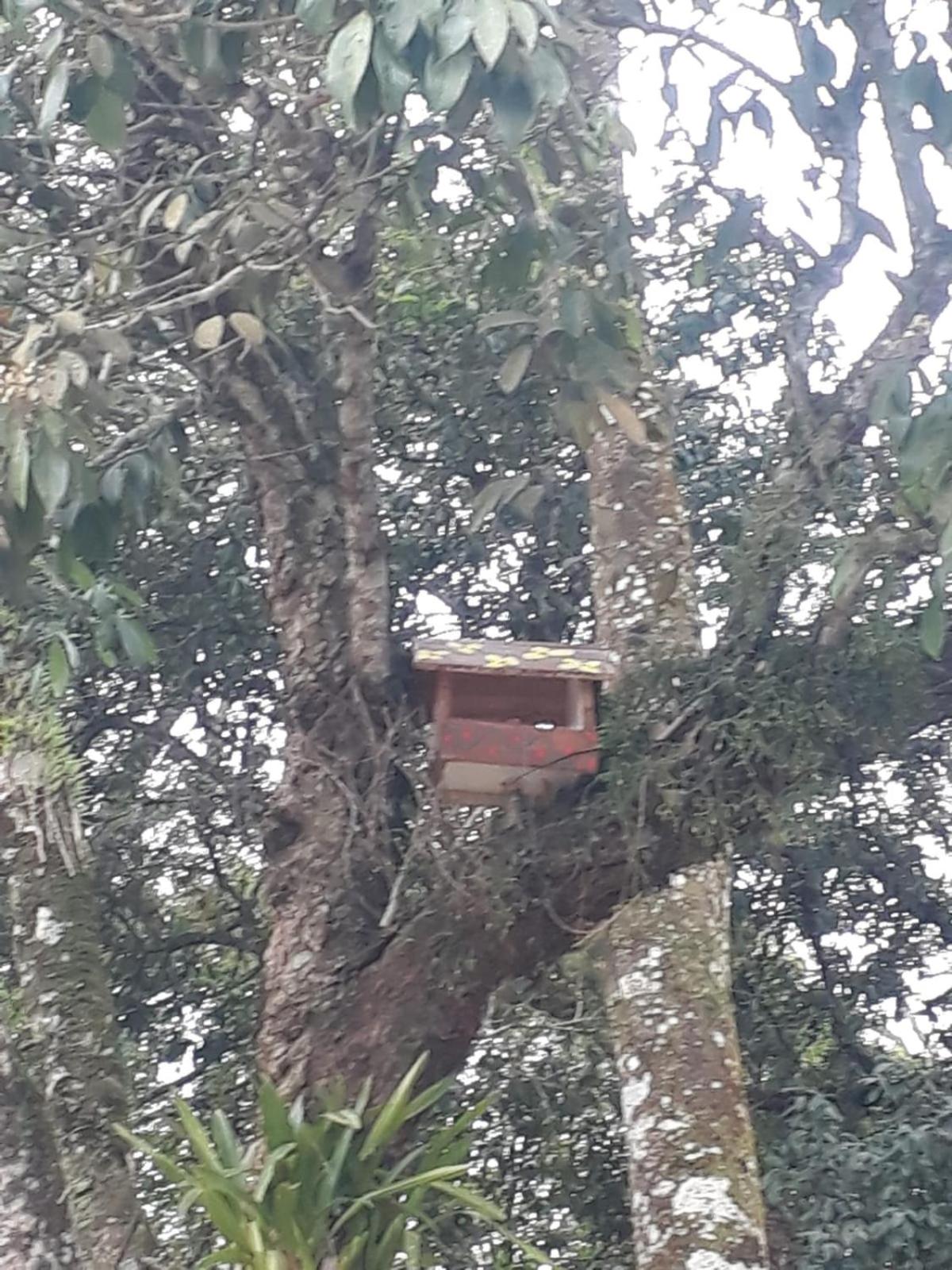 Espaço Azul
