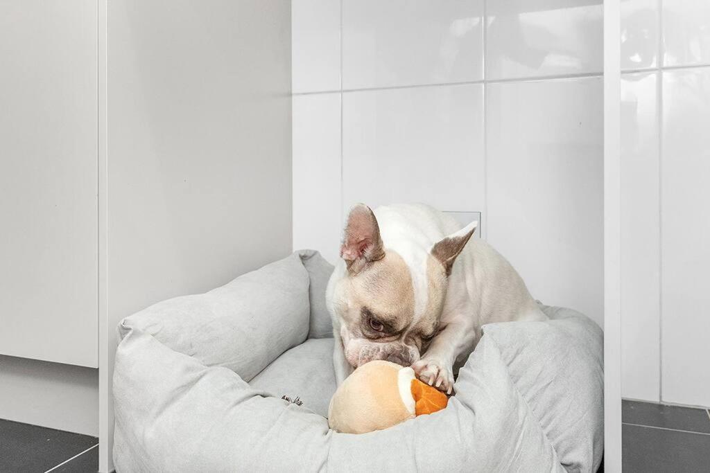 Pet-friendly slice of Carrodise