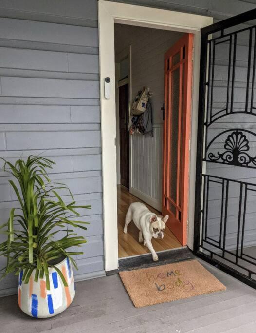 Pet-friendly slice of Carrodise