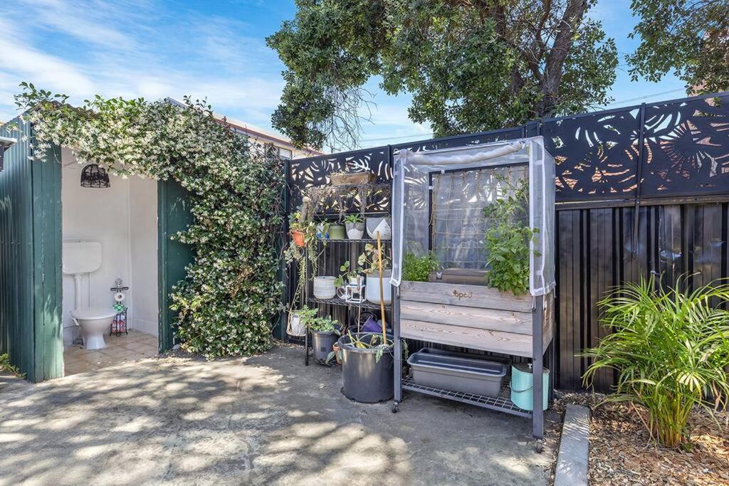 Pet-friendly slice of Carrodise