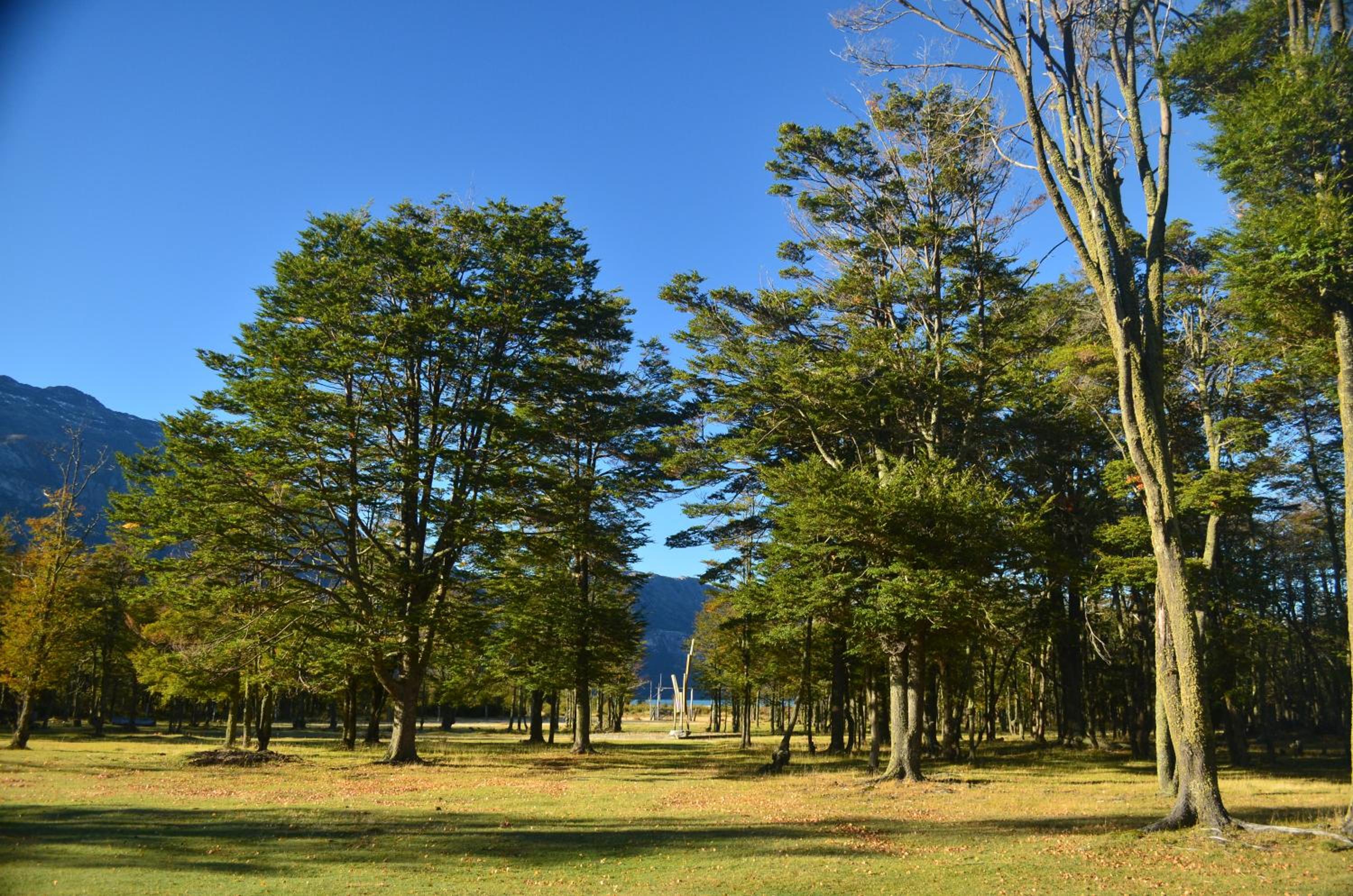Casa Bahía Patagonia
