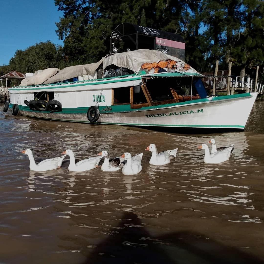 Cabañas El Río y Yo