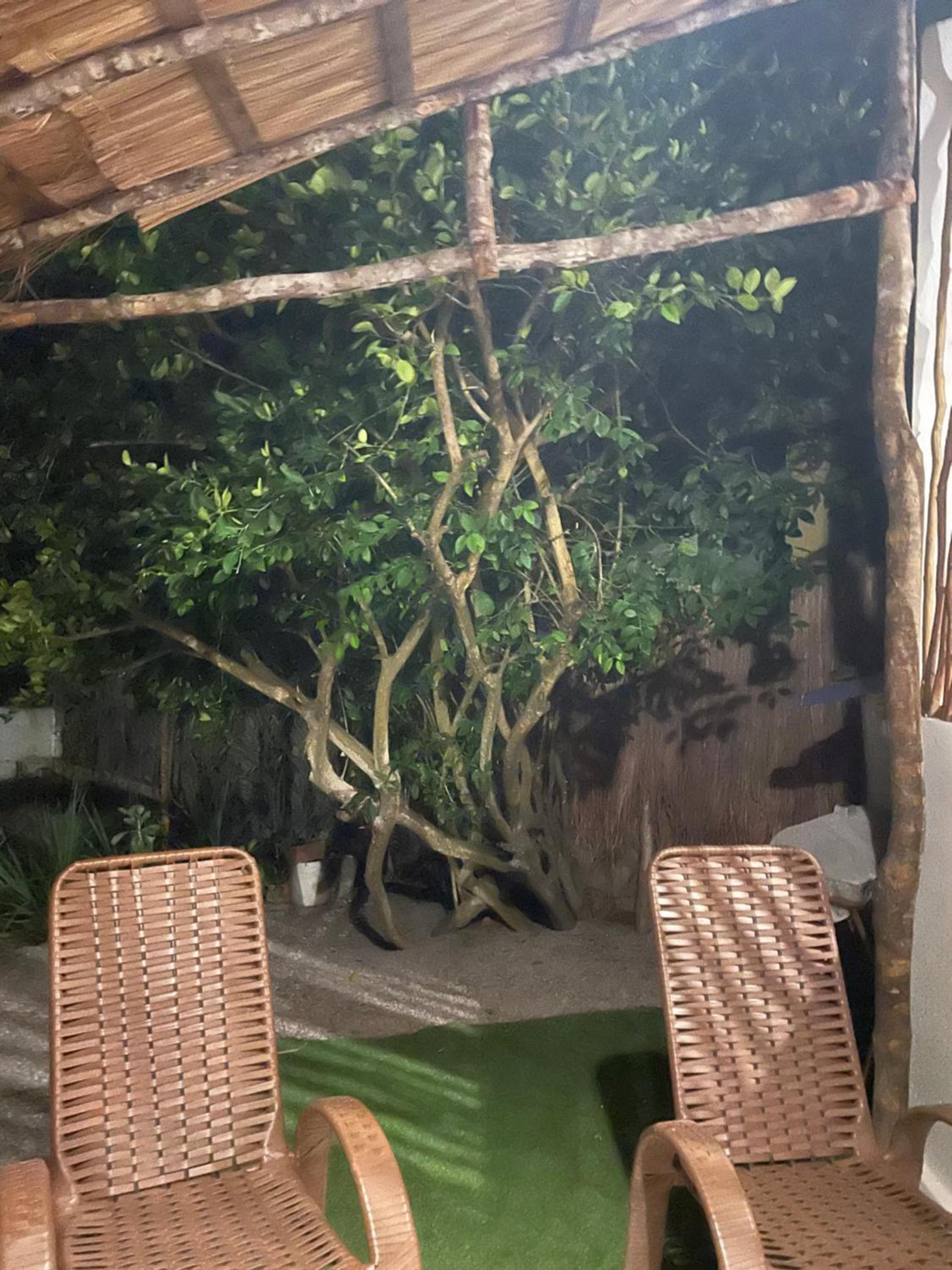 Casa do Francês