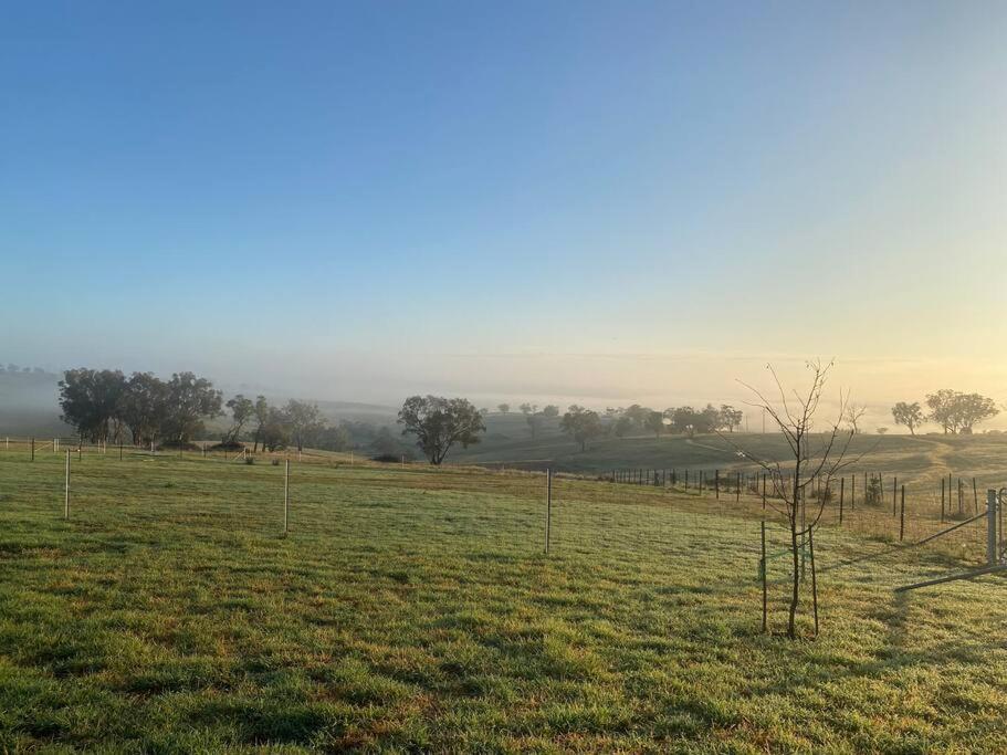 Red Hill Farmstay Bathurst 3BR Spacious inside and out!