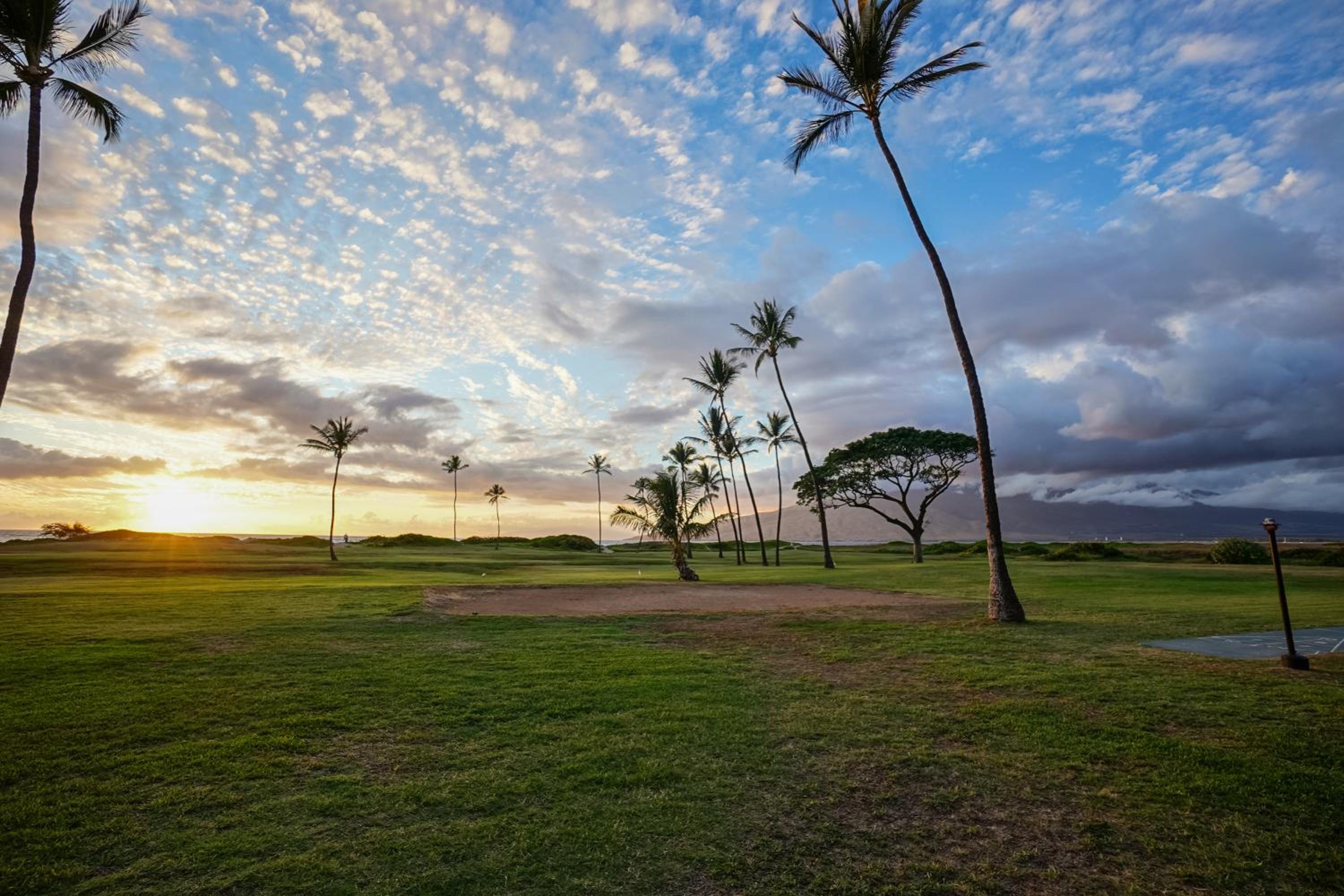 Sunset Palms Kihei s Cozy Beach Escape view 4