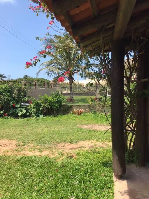 Casa alegre frente a las dunas