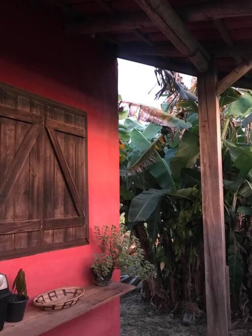 Casa alegre frente a las dunas