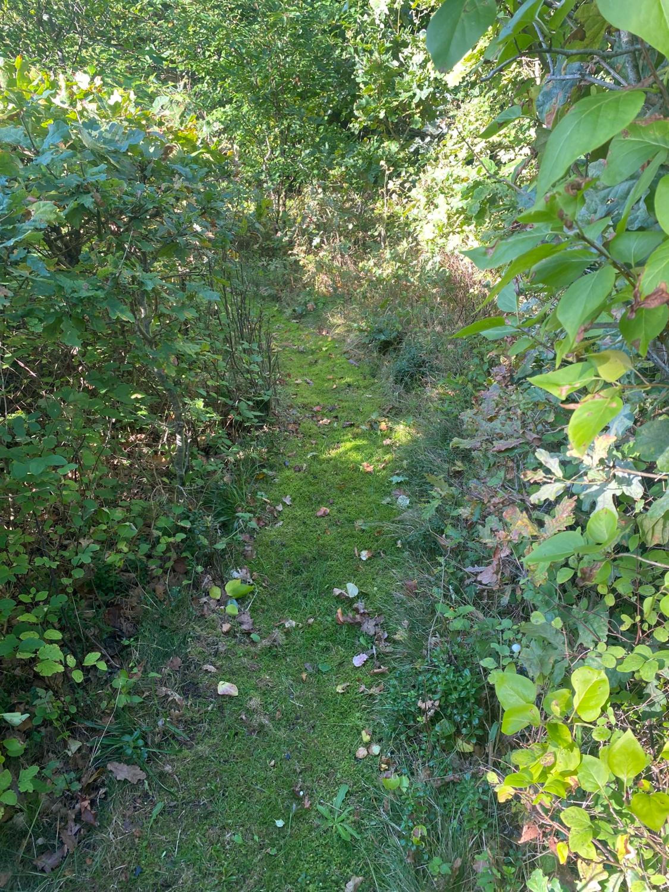 Photo 13