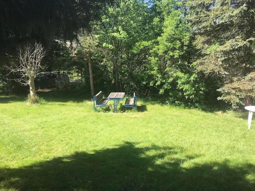 Photo 7