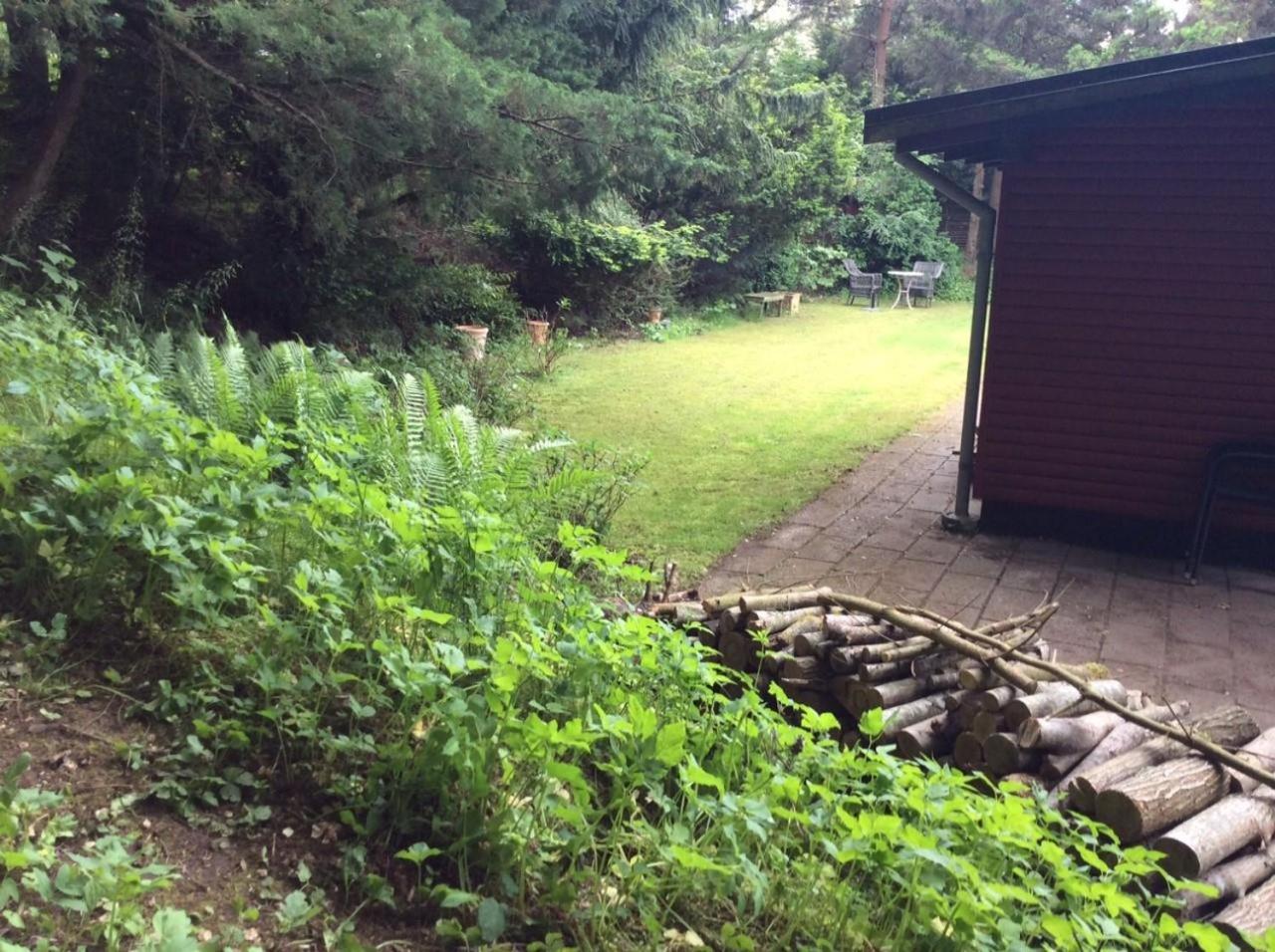 Photo 23
