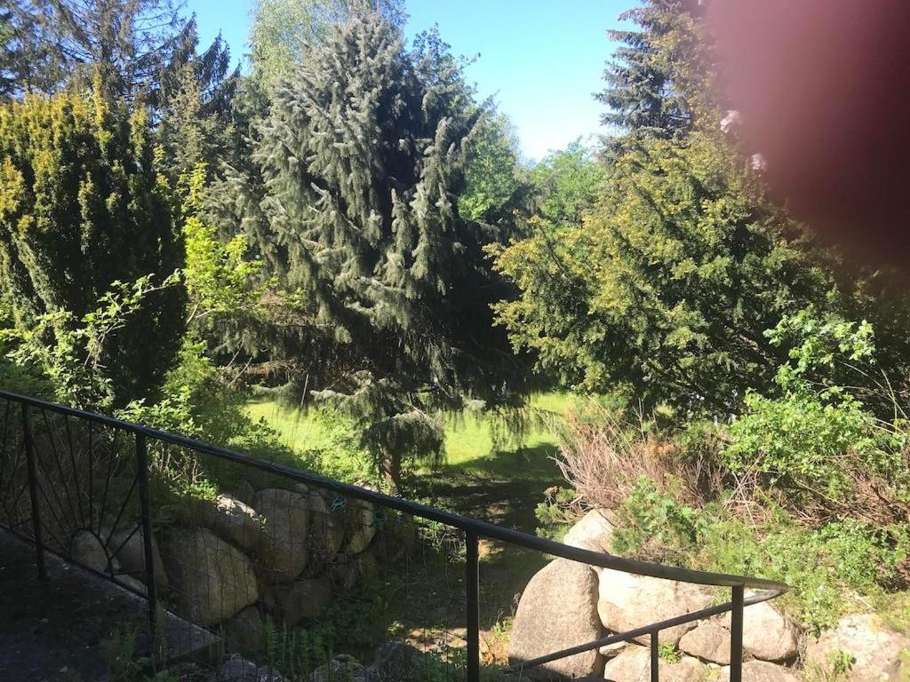 Photo 29