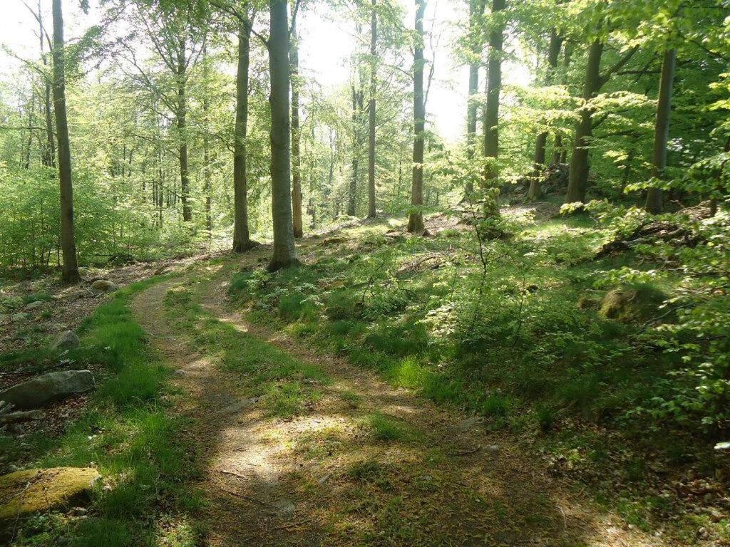 Photo 27