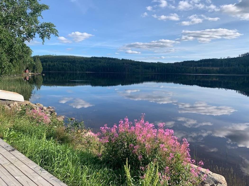 Awesome Home In Bredbyn With Wifi, Sauna And Jacuzzi view 5