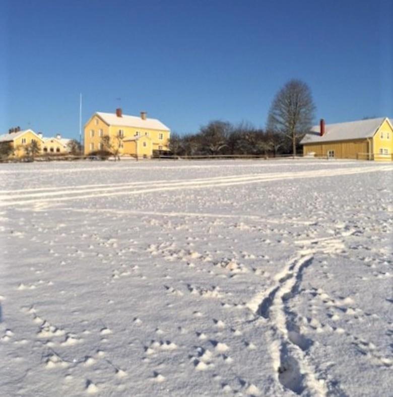 Awesome Home In Mariannelund With 4 Bedrooms