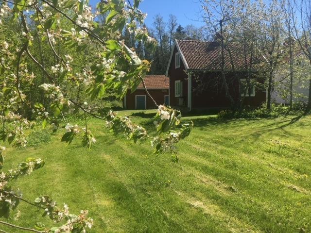 Photo 27