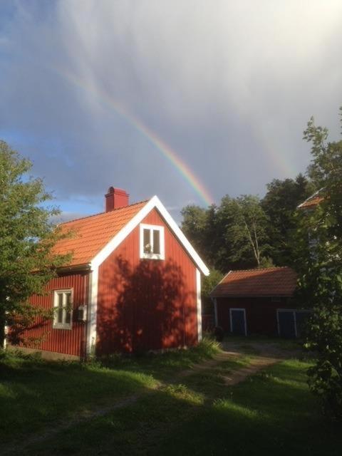 Photo 31
