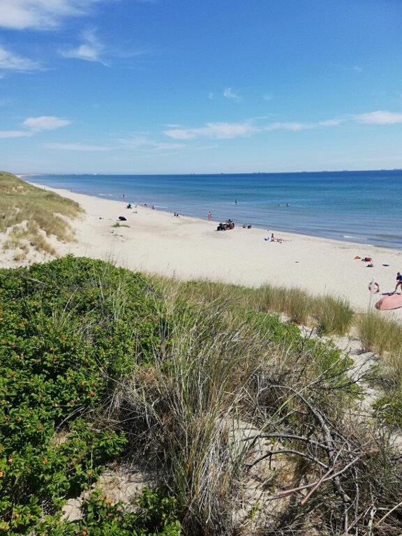 Amazing Home In Skagen W-