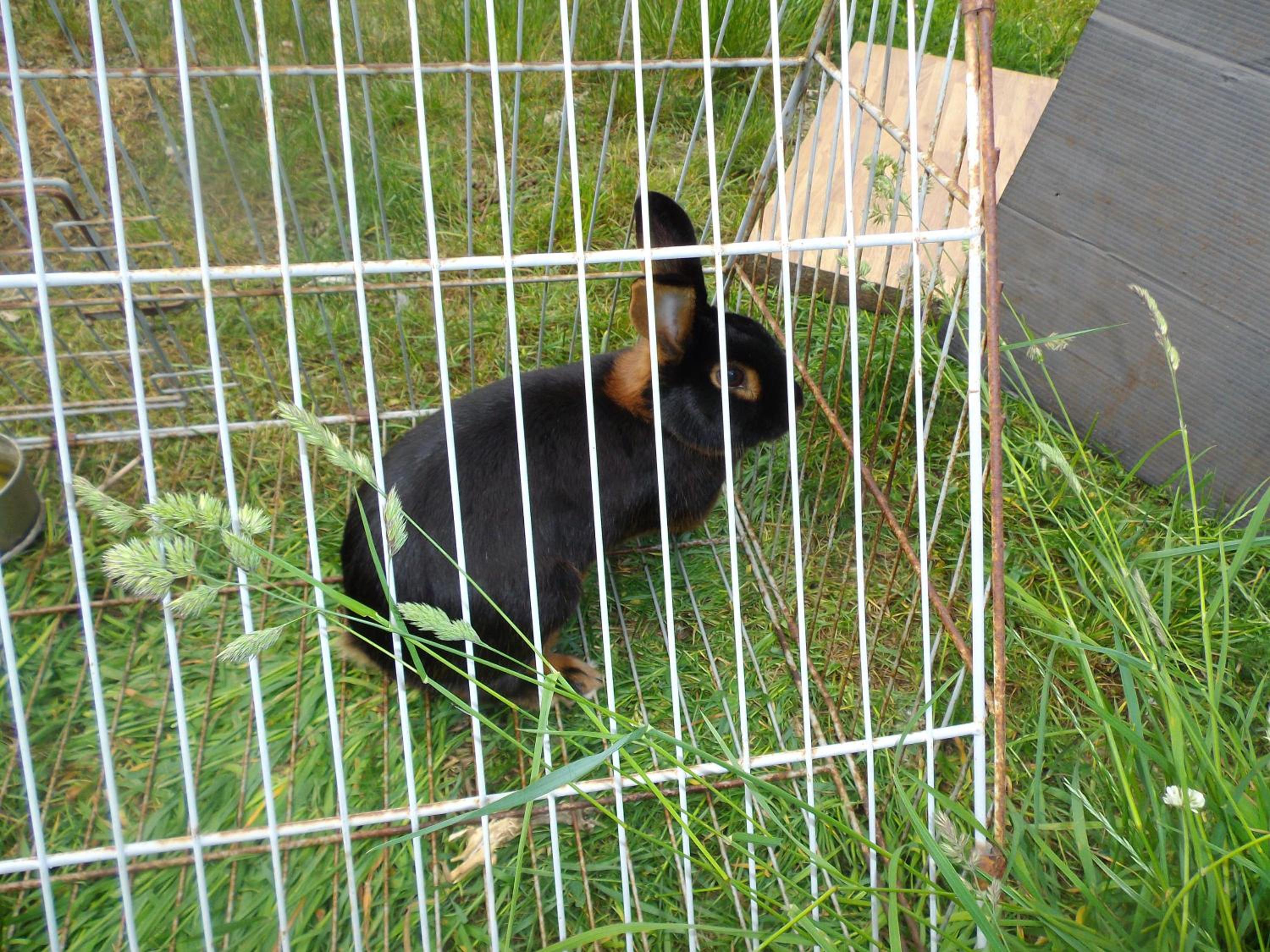 Photo 20