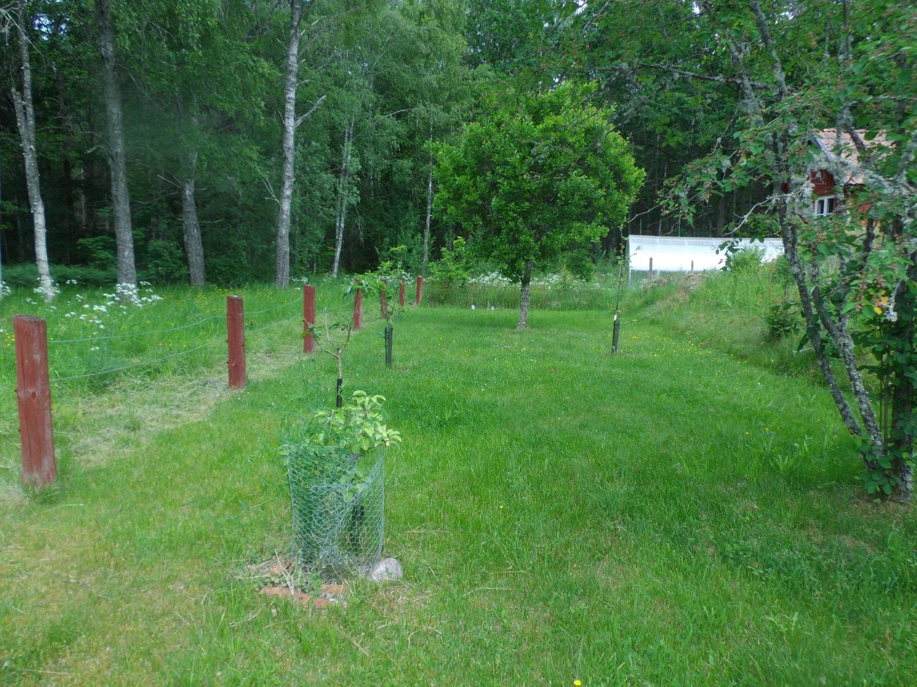 Photo 24