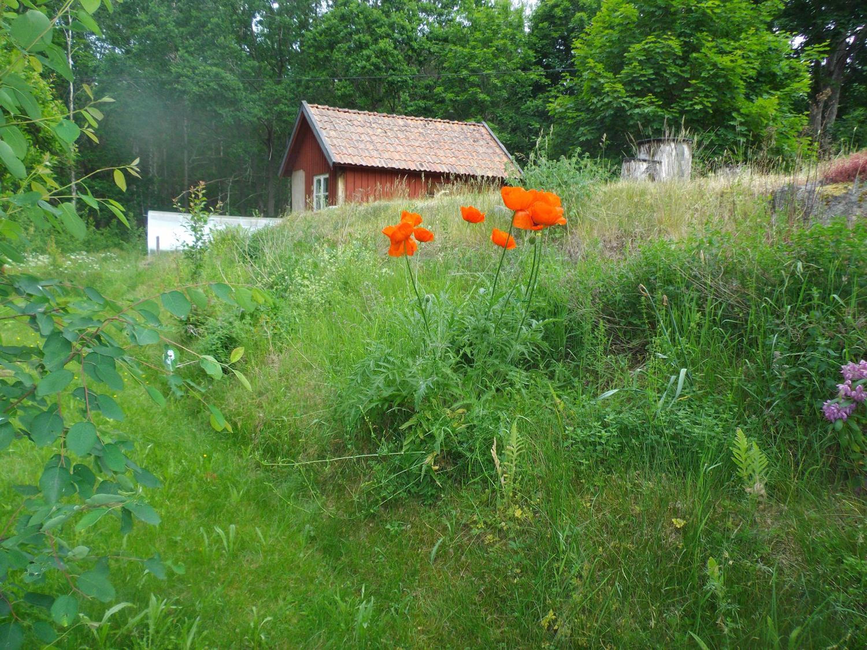 Photo 26