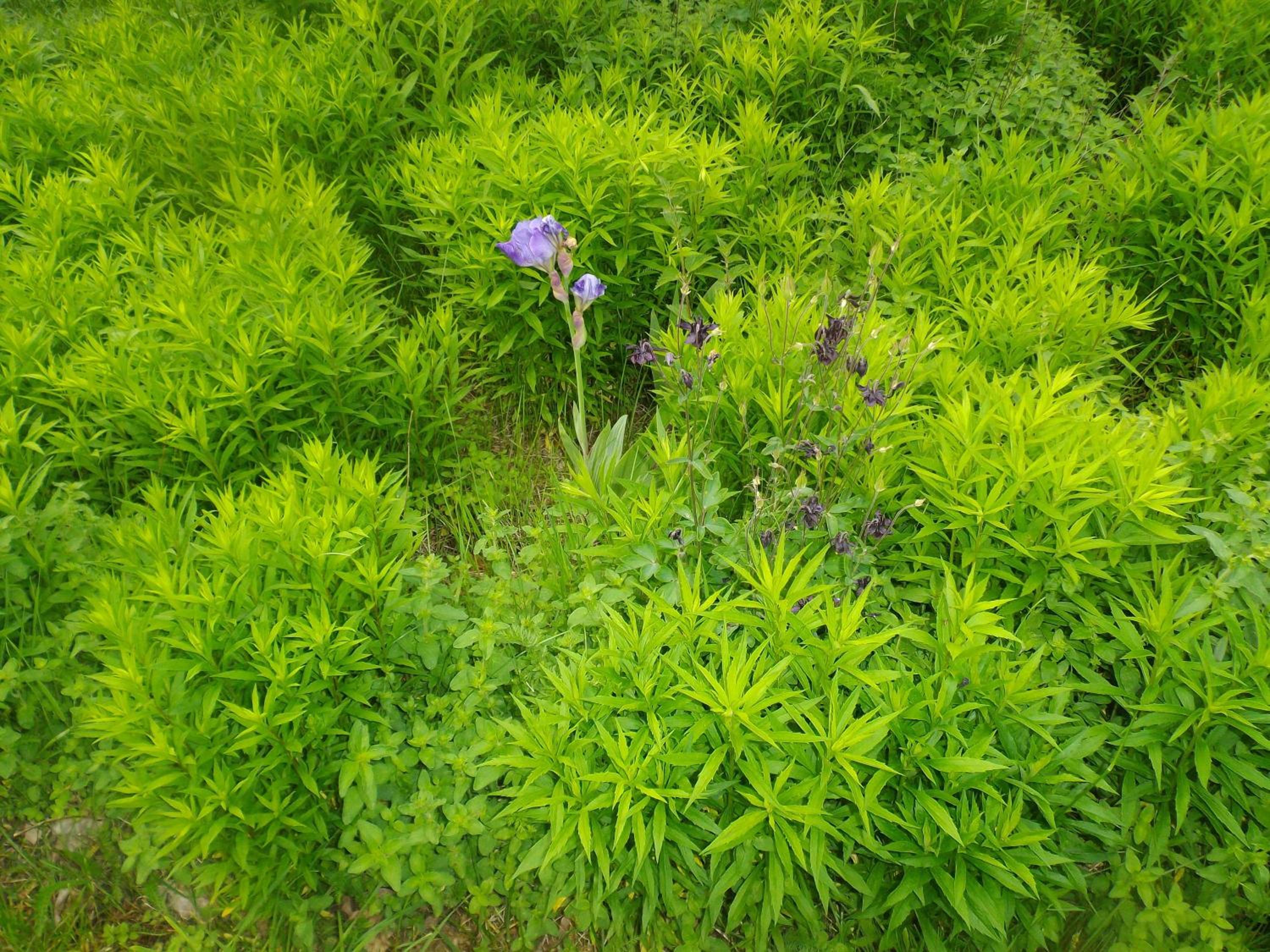 Photo 27