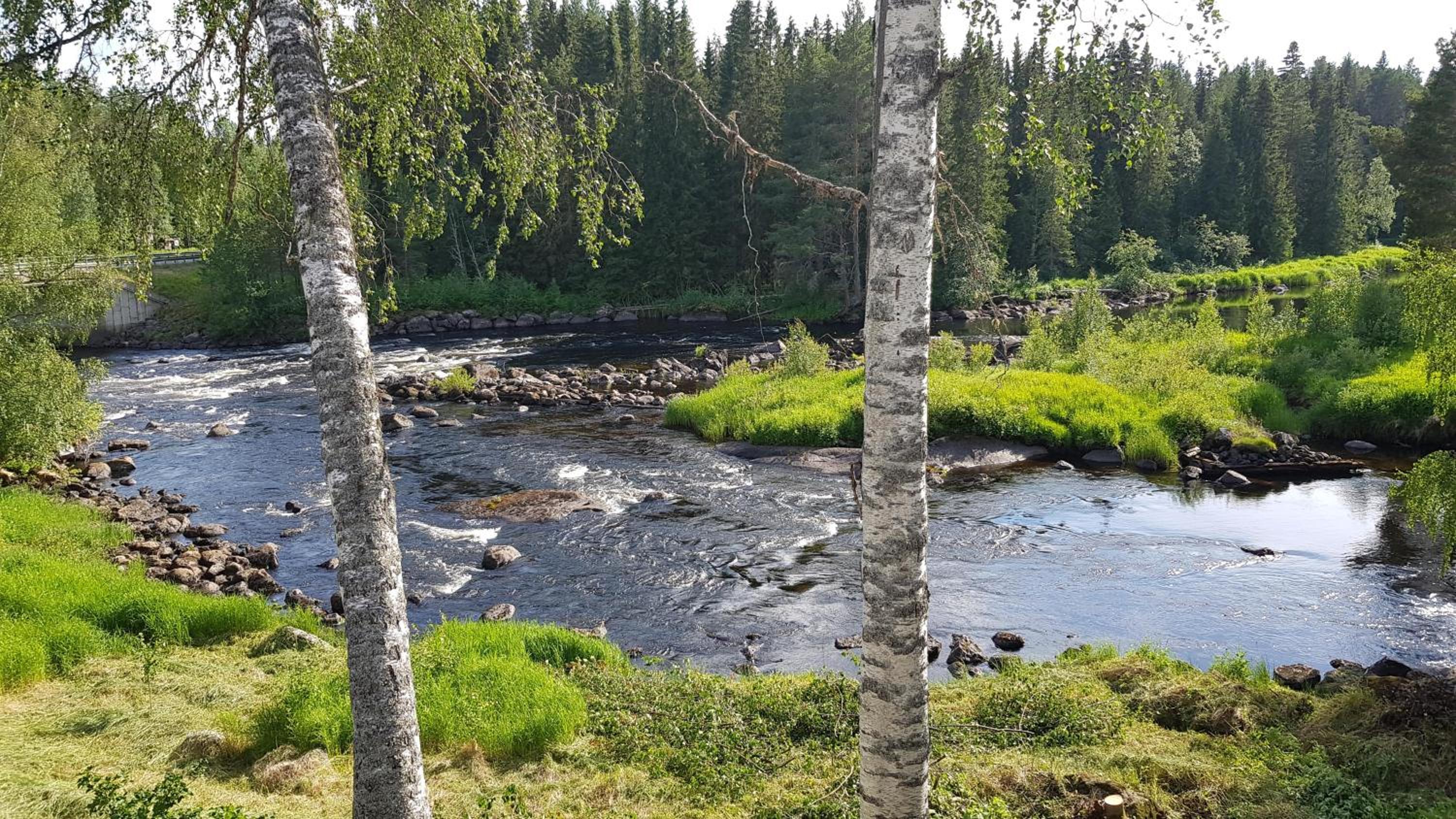 Photo 18
