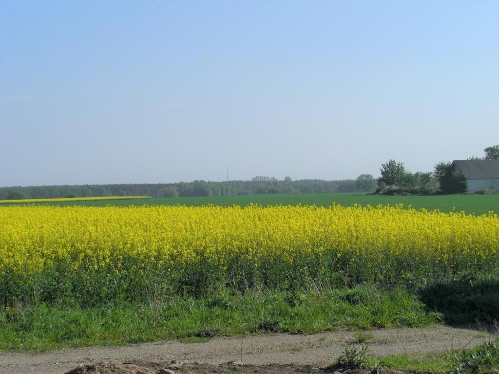 Nice Home In Löderup With 1 Bedrooms And Wifi view 3