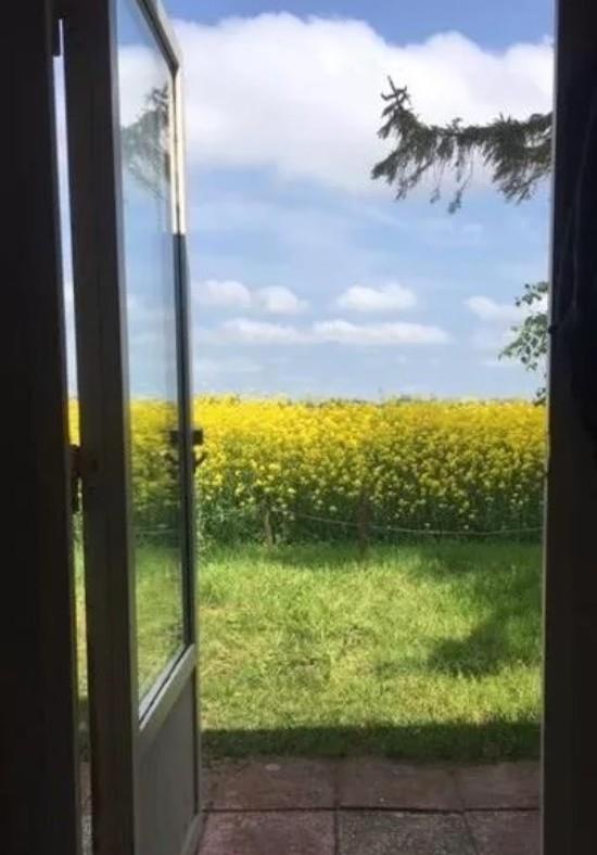 Beautiful Home In Höllviken With 1 Bedrooms view 3
