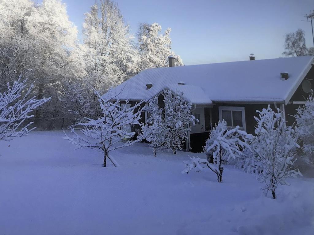 Awesome Home In Ryd With 2 Bedrooms, Sauna And Jacuzzi view 4