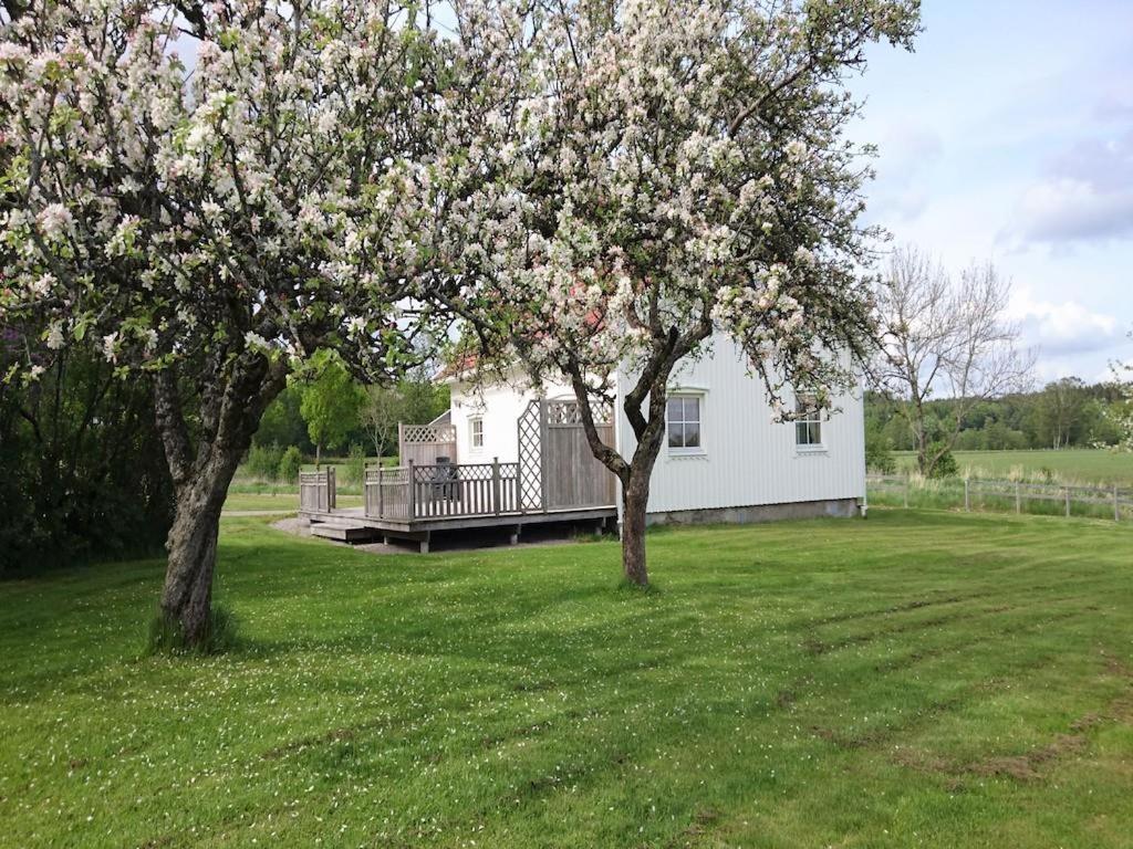 Nice Home In Uddevalla With 1 Bedrooms And Wifi view 5