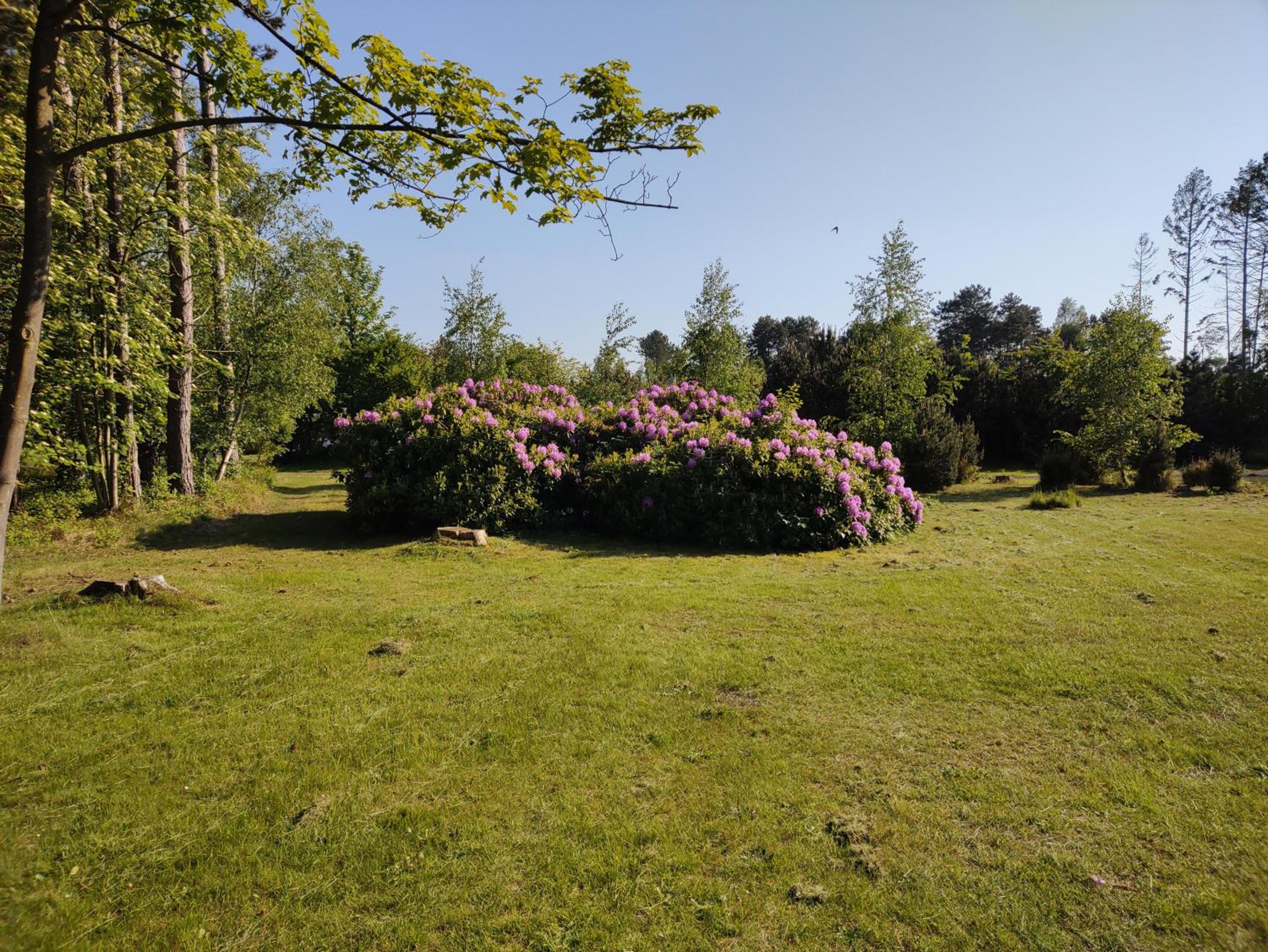 Photo 22