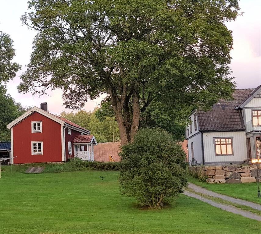 Photo 27