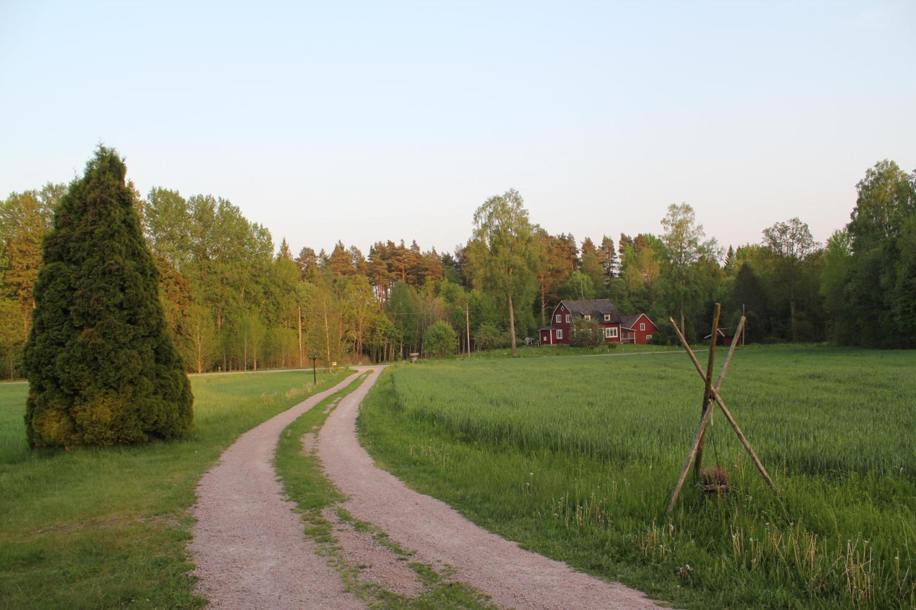 Photo 29