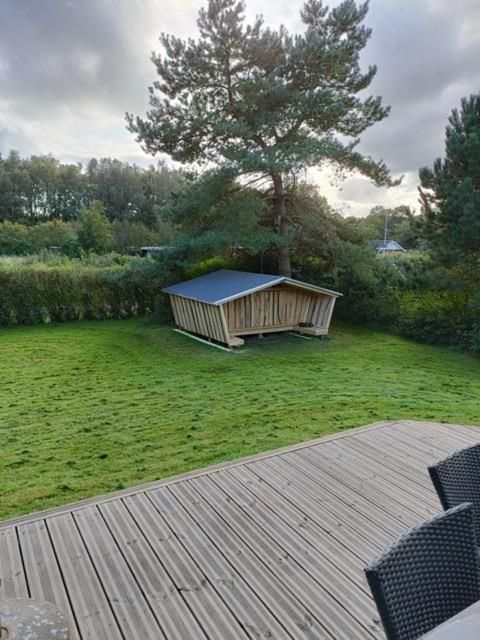 Photo 12