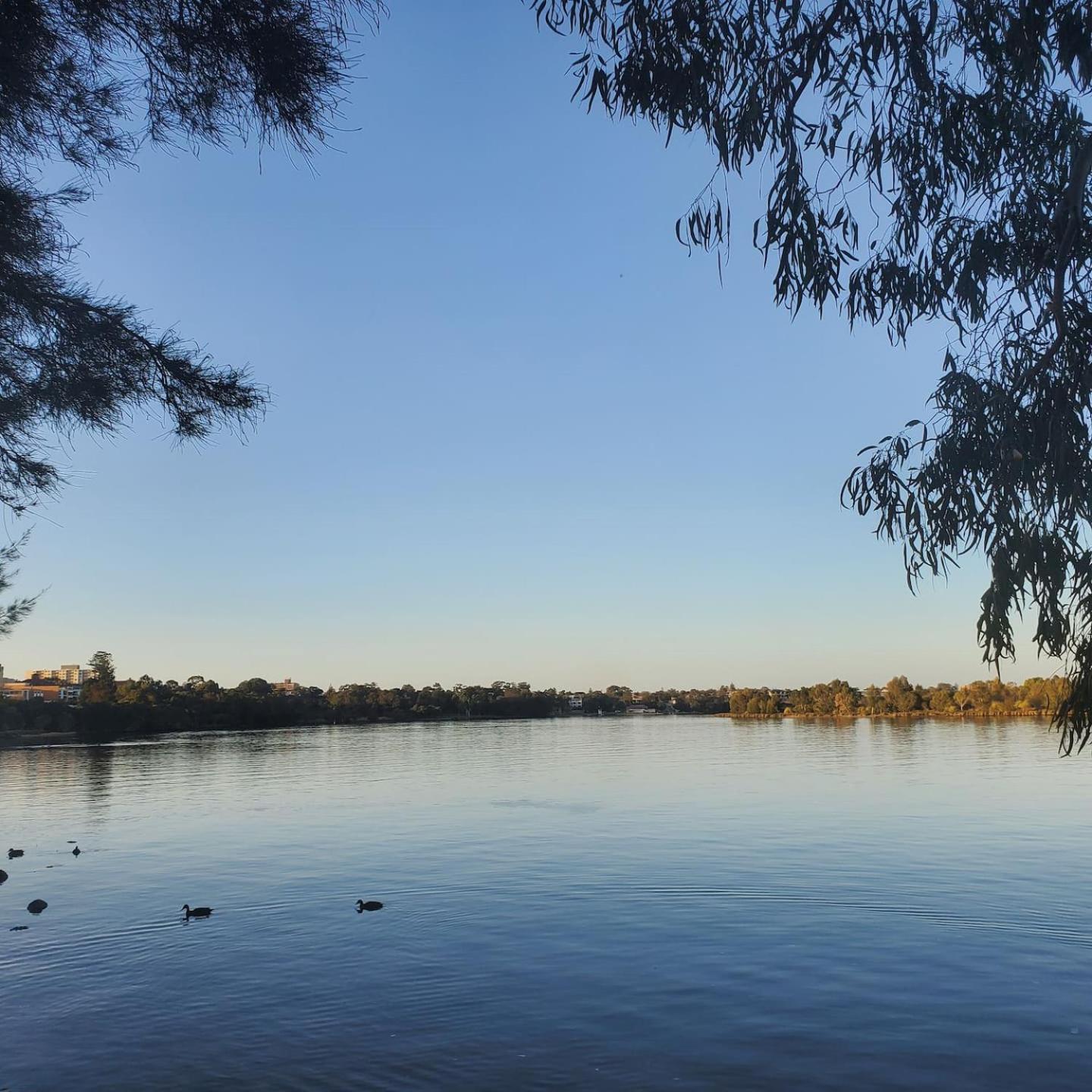 Your Oasis in the Heart of East Perth