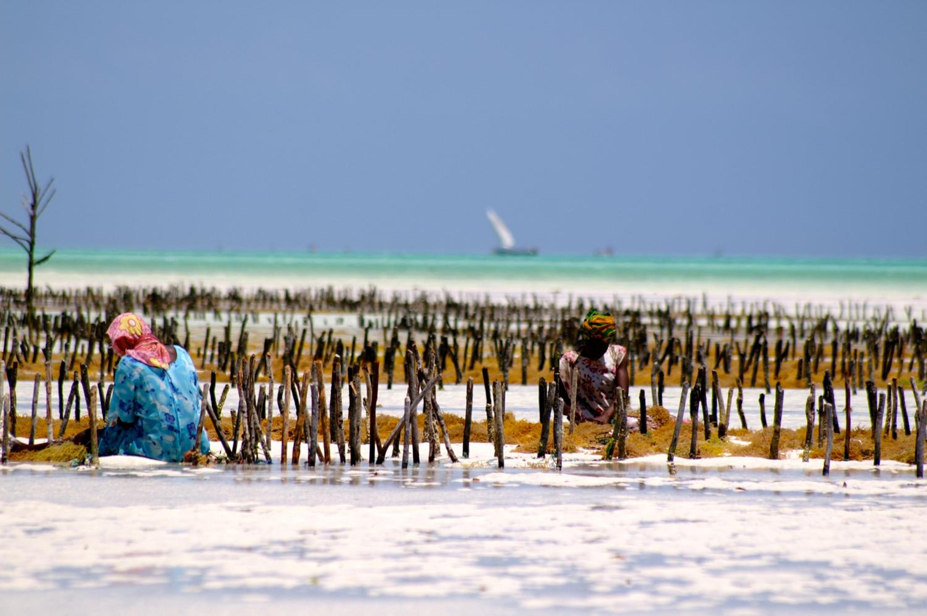 Zanzistar Lodge